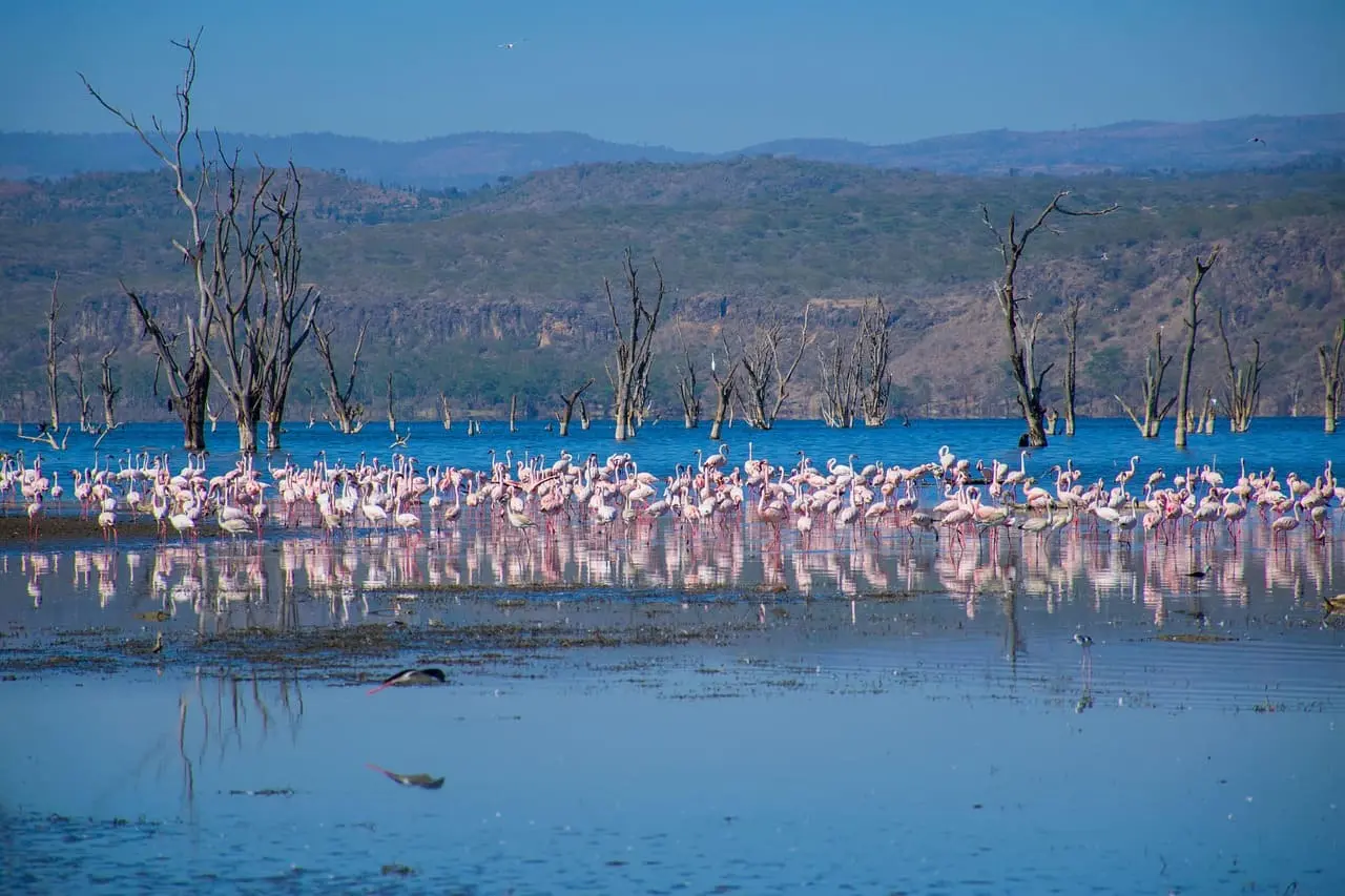 Lake Nakuru National Park