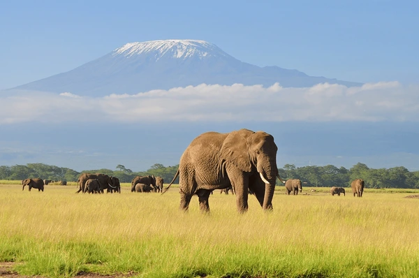 Amboseli National Park