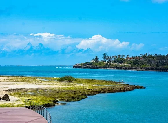 Bush to Beach The Ultimate Safari & Coast Experience